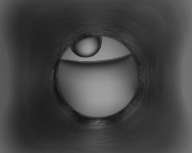 X0000100500319200806130735