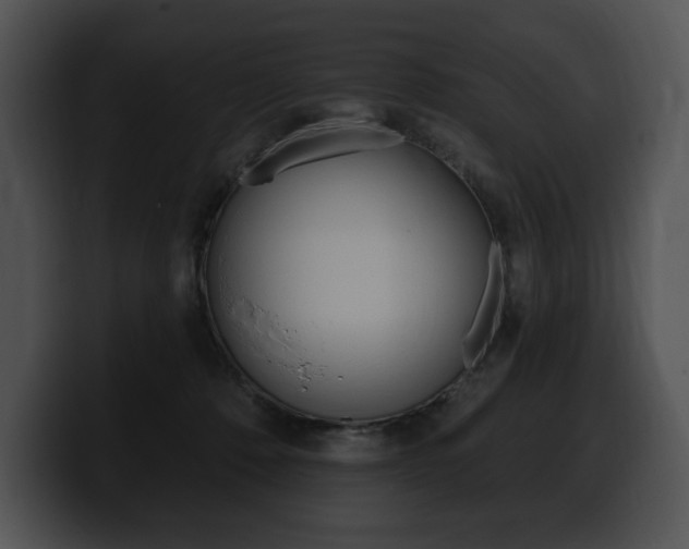 X0000100500320200806130735