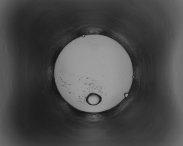 X0000100500321200806130735