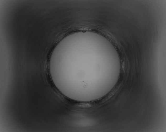 X0000100500322200806130735