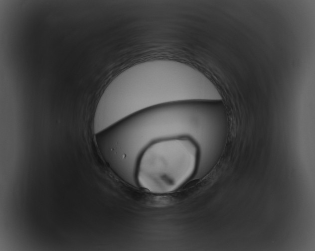 X0000100500324200806130734