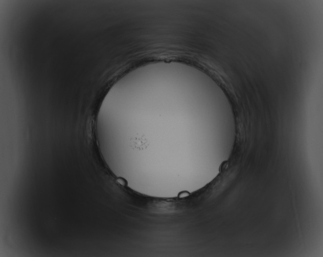 X0000100500325200806130734