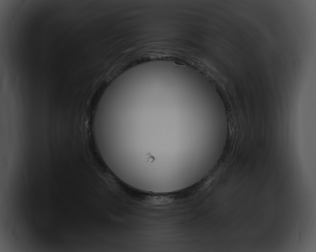 X0000100500327200806130734