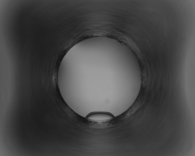 X0000100500329200806130734