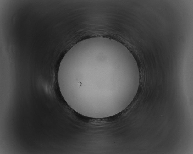 X0000100500331200806130734