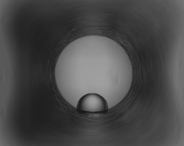 X0000100500332200806130734