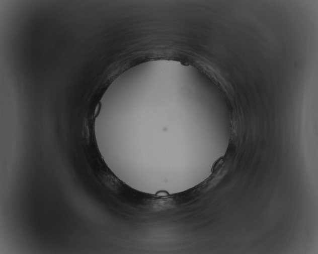 X0000100500333200806130734