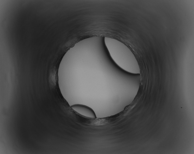 X0000100500334200806130734