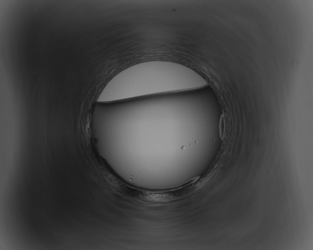 X0000100500336200806130734