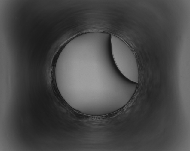 X0000100500338200806130734