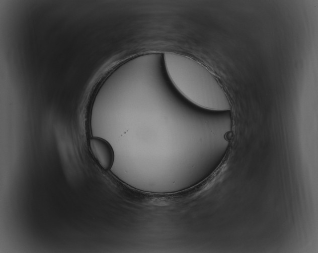 X0000100500341200806130734