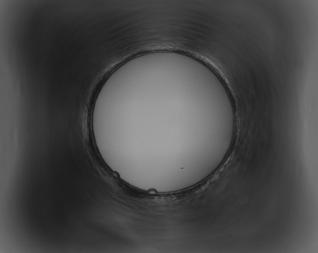 X0000100500345200806130734