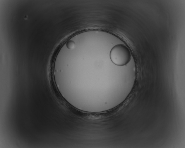 X0000100500346200806130734