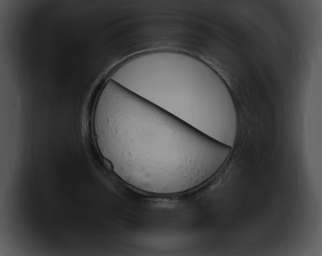 X0000100500347200806130734