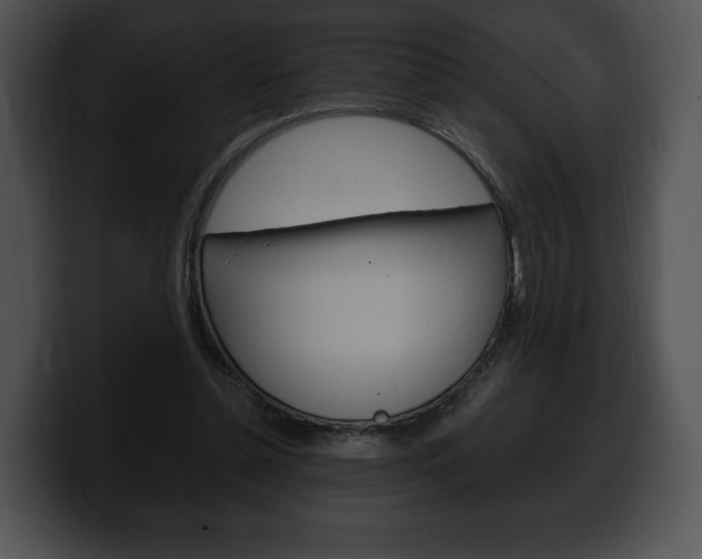 X0000100500348200806130734