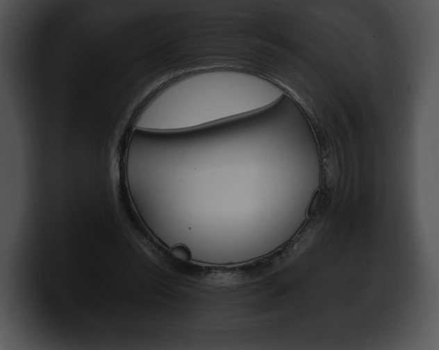 X0000100500350200806130734