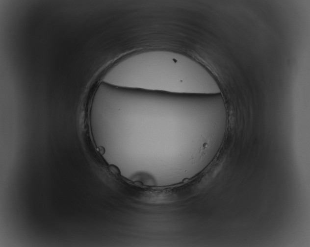 X0000100500351200806130734