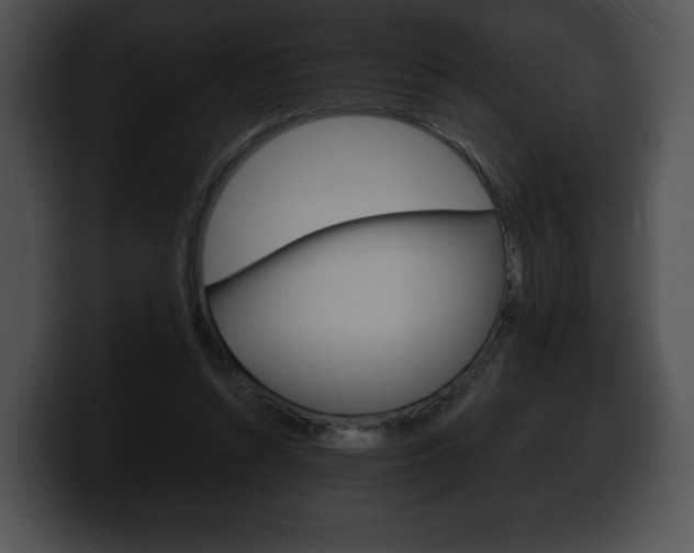 X0000100500352200806130734