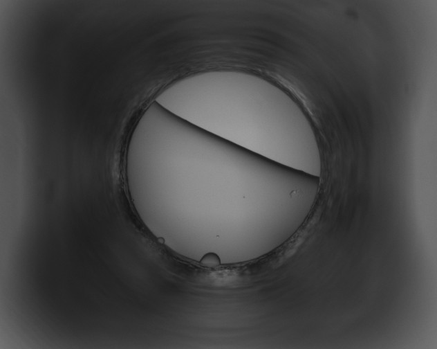 X0000100500353200806130734