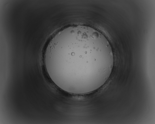 X0000100500354200806130734