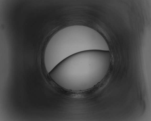 X0000100500356200806130734