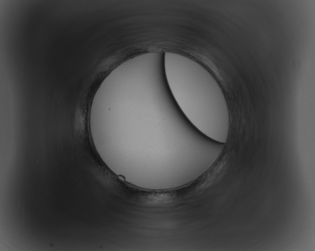 X0000100500357200806130734