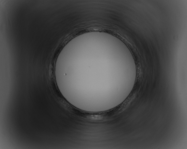 X0000100500361200806130734