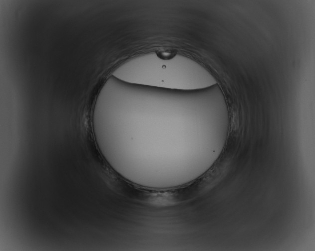 X0000100500363200806130734