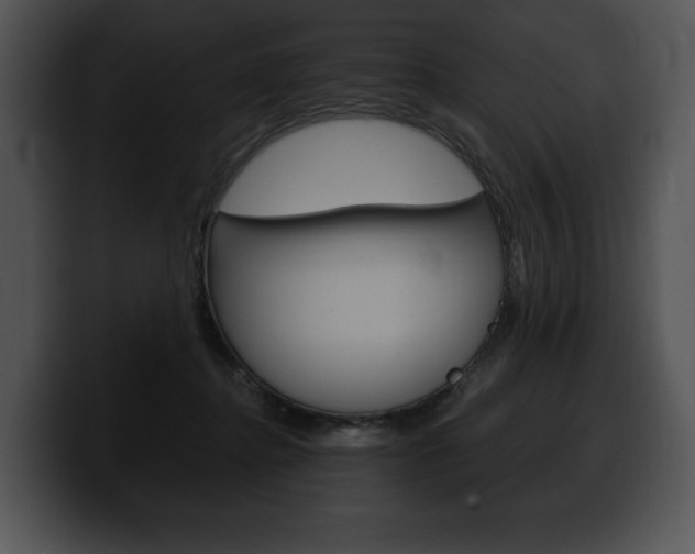 X0000100500364200806130734