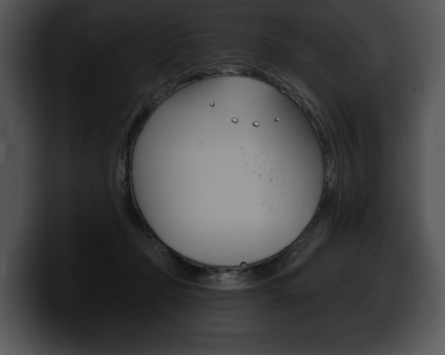 X0000100500365200806130734