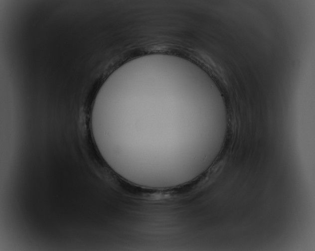 X0000100500366200806130734