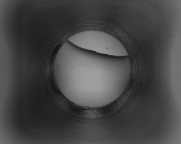 X0000100500367200806130734