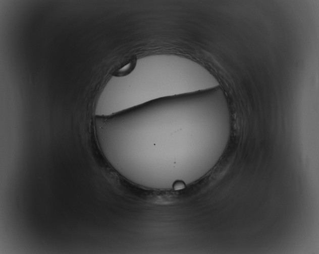 X0000100500368200806130734