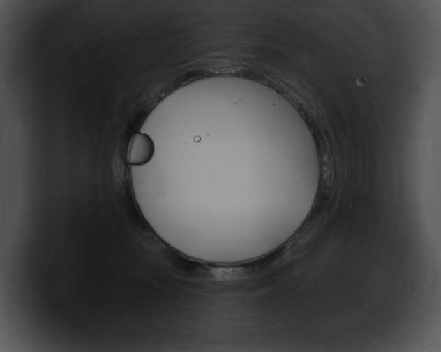 X0000100500371200806130734