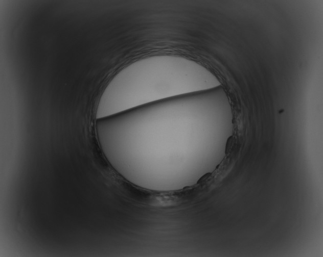 X0000100500372200806130734