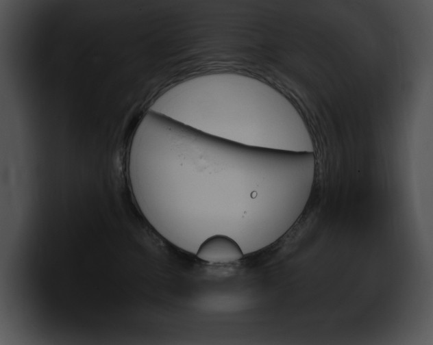 X0000100500373200806130734