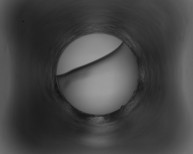 X0000100500374200806130734