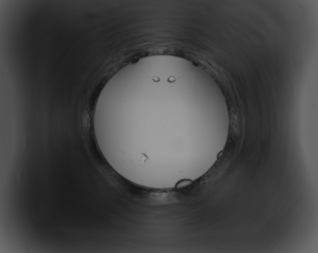 X0000100500375200806130734