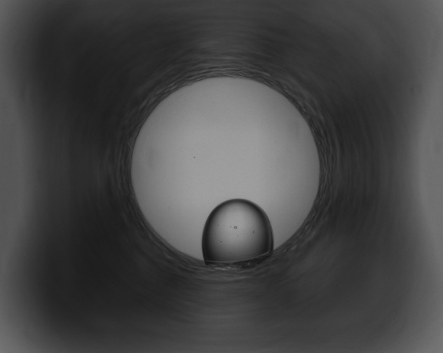 X0000100500376200806130734