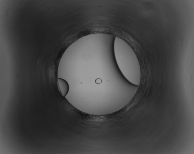 X0000100500377200806130734