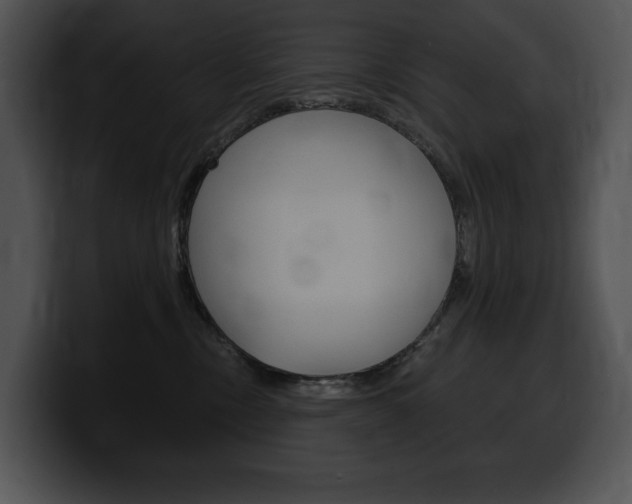 X0000100500378200806130734