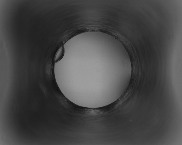 X0000100500379200806130734