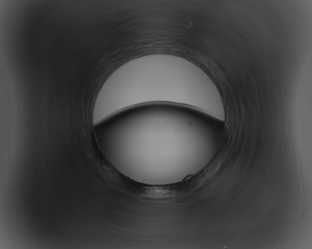 X0000100500380200806130734