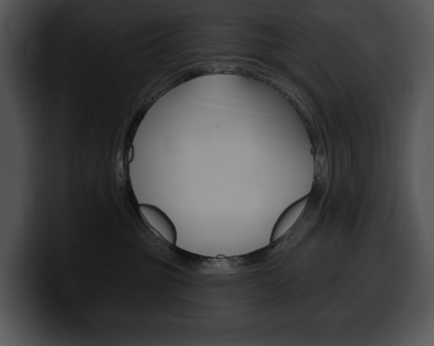 X0000100500381200806130734