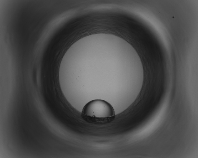 X0000100500382200806130734