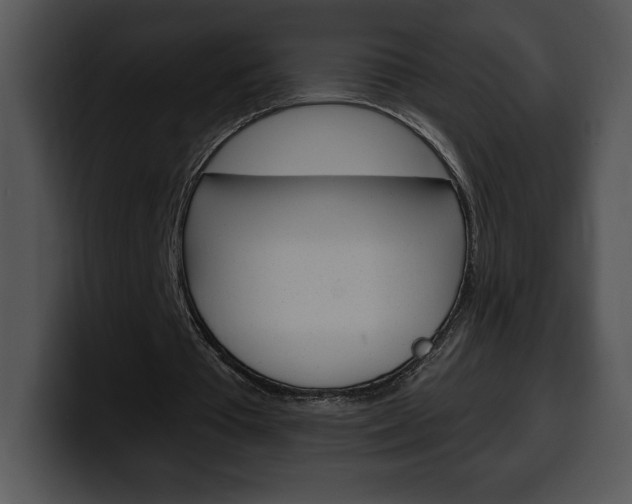 X0000100500385200806130734