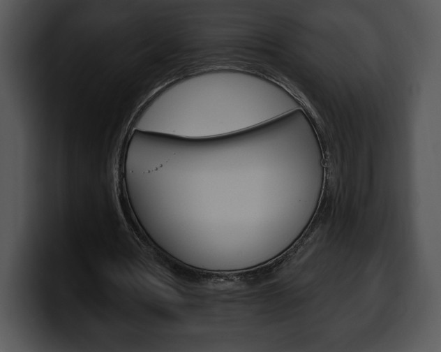 X0000100500386200806130734