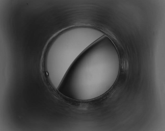 X0000100500388200806130734