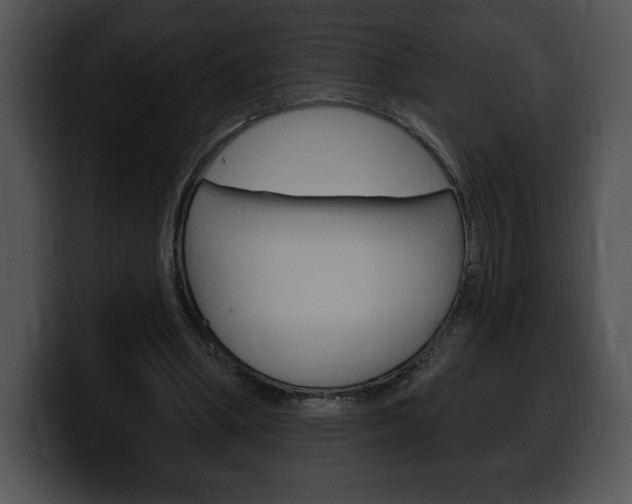 X0000100500394200806130734