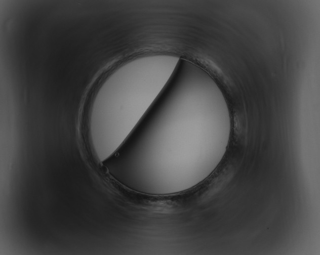 X0000100500396200806130734